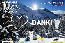 H-und.ch Jubliäumstag: Winterabenteuer mit Hund auf Sunnbüel (BE)