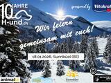 H-und.ch Jubliäumstag: Winterabenteuer mit Hund auf Sunnbüel (BE)
