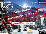 H-und.ch Jubliäumstag: Winterabenteuer mit Hund auf Sunnbüel (BE)