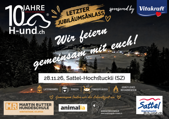 H-und.ch Jubliäumstag: Adventszeit Sternenlicht & Pfotenspuren
