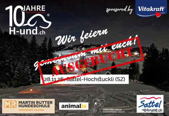 H-und.ch Jubliäumstag: Adventszeit Sternenlicht & Pfotenspuren