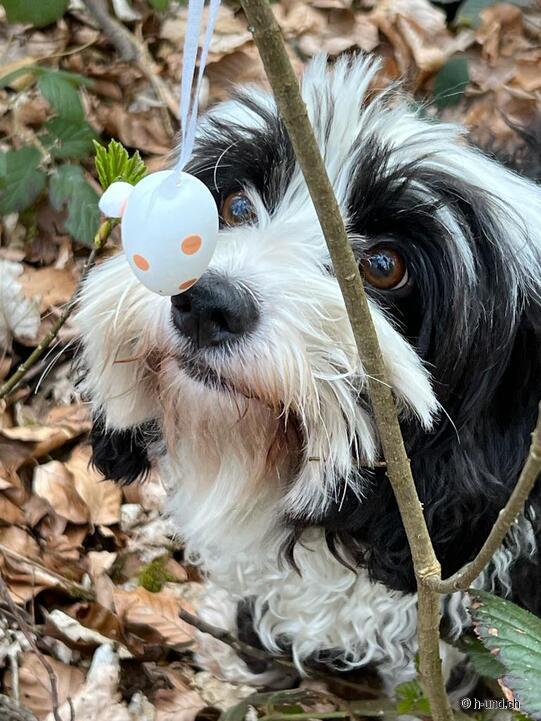 Zimtschatzsuche Sommer Edition