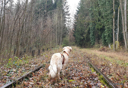 Ferrovia del Passo di Schipka