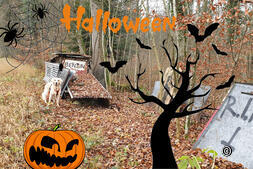 Lieux oubliés : découvrez la Suisse avec un chien