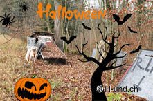 Lost Places : vivre l'aventure. Célébrez la saison la plus effrayante de l'année, "Halloween", en compagnie de votre compagnon à quatre pattes.