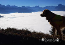 Notre conseil : profiter du soleil bien au-dessus de la mer de brouillard.