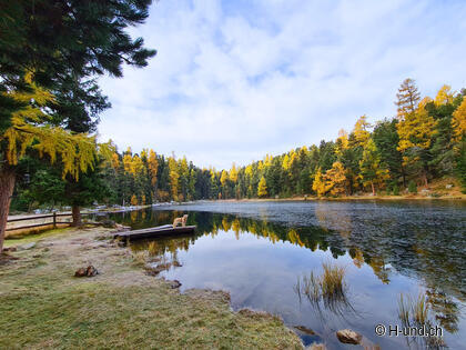 Top - Randonnées avec un chien en automne.