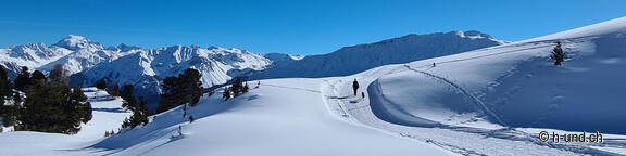 Randonnées avec un chien en automne