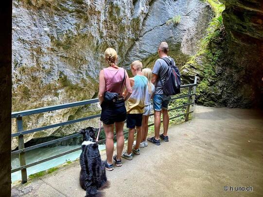  Aareschlucht Meiringen