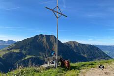 Randonnée circulaire Älggialp - Centre de la Suisse