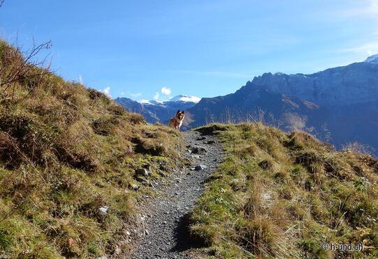 Ämpächli circular hike