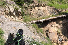 Ancien chemin de fer