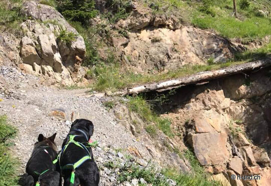 Alter Zügenweg