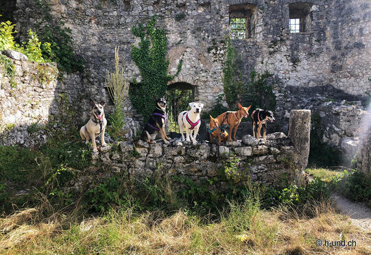 Arlesheim Hermitage- Gempenturm - Goetheanum with 3 castle (ruins)