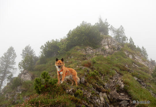 Arvigrat Rundwanderung