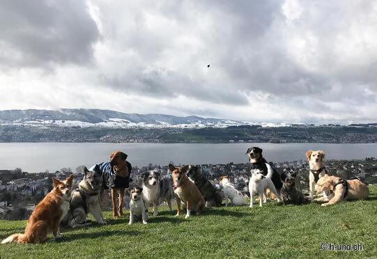 Aussichtspunkt Risi Stäfa, Risitobel, Uetziger Riet und Seeweidsee.