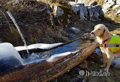 Des rafraîchissements sont fournis.
