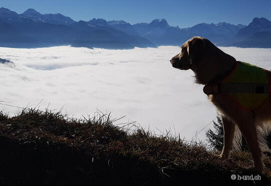 Bärenboden-Aeugsten-Holzflue-Alp Begligen-Aeugsten
