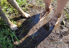 Wellness pur für Füsse und Pfoten