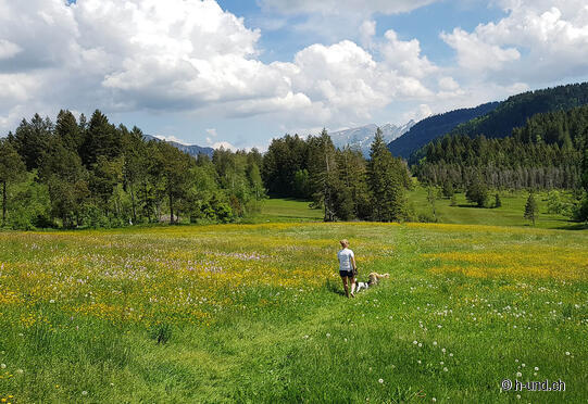 Barfussweg mit Hund: Krummenau-Wolzenalp