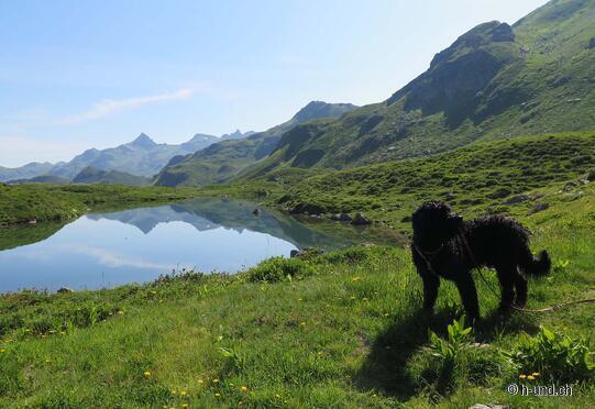 Betschwanden - Leglerhütte.