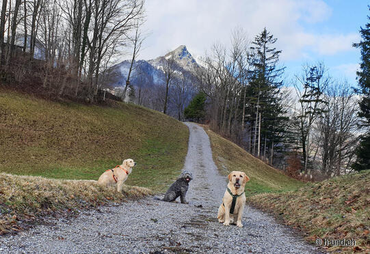Biberlichopf Rundweg