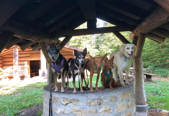 Passeggiata circolare Bonfol