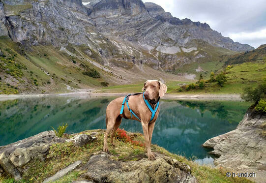 Braunwald-Oberblegisee-Brunnenberg