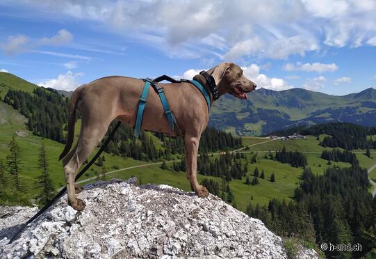 Bretaye-Col de la Croix- Bretaye