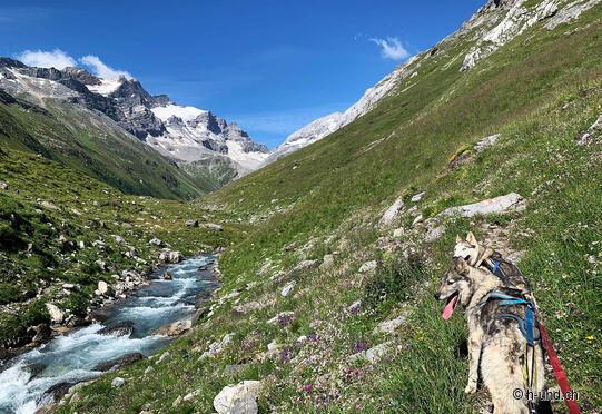 Brigels - Val Frisal