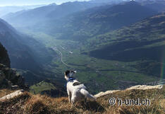 Nobu geniesst die Aussicht.