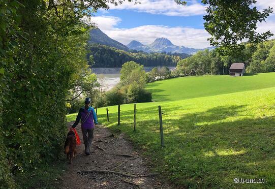 Charmey nach Gruyère