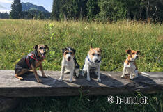 Gruppo di escursionisti alla foto di gruppo.