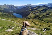 Col du Pillon - Lac Retaud Rundtour