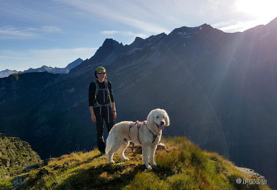 Bacino di Carassino (Val di Carassino) - Cima Sgiu (2375m) - Cima di Pinadee (2486m) - Passo die Piotta - Bacino di Carassino
