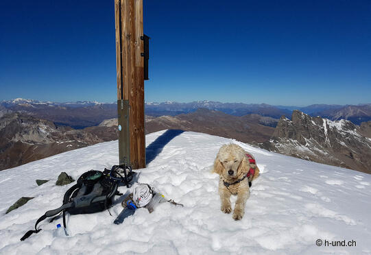 Cresta (Avers) - Tälihorn - Piz Platta (3392m)