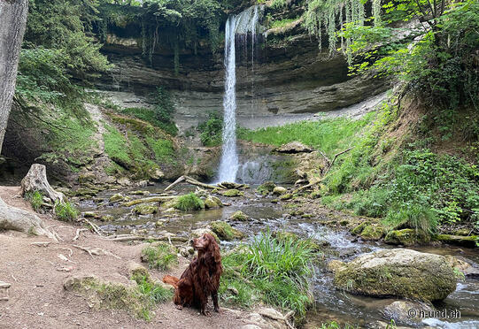 La Gola del Colorado del Giura vodese