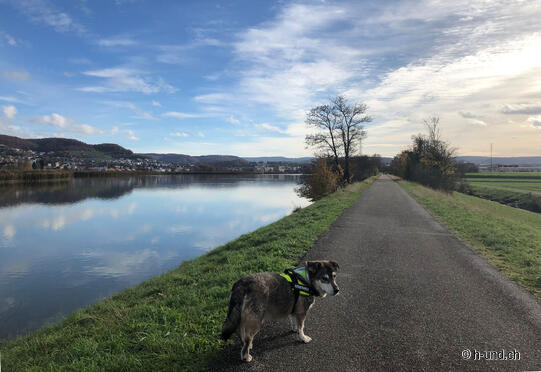 Percorso circolare di Döttingen