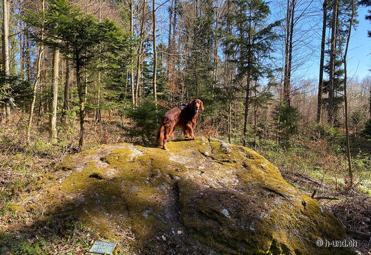 Dotzigen- und Städtiberg