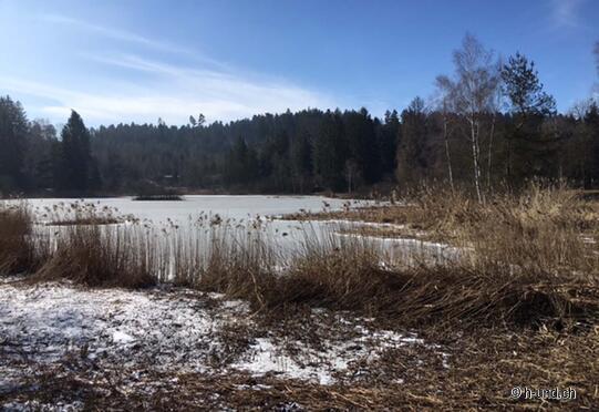 Effretikon a Pfäffikon ZH