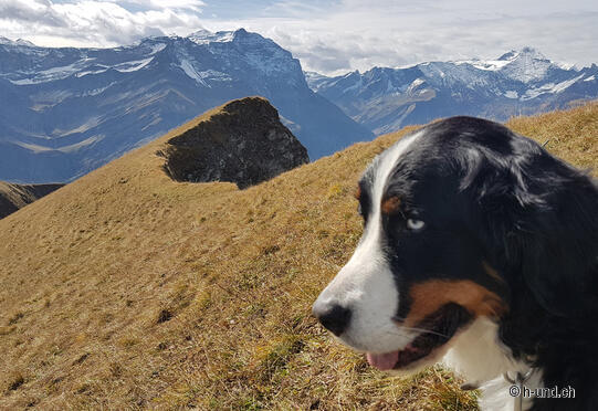 Elm - Fanenstock (2235M.ü.M) - Elm