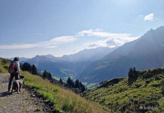 Sentiero di montagna dell'olmo