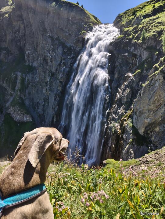 Engstligenalp - Unter dem Birg