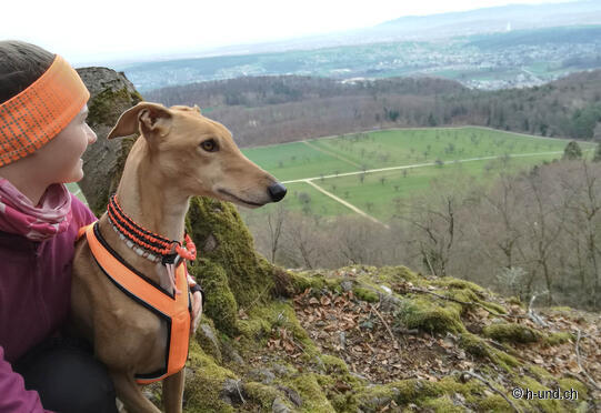 Flüh - Aesch (ruin tour)