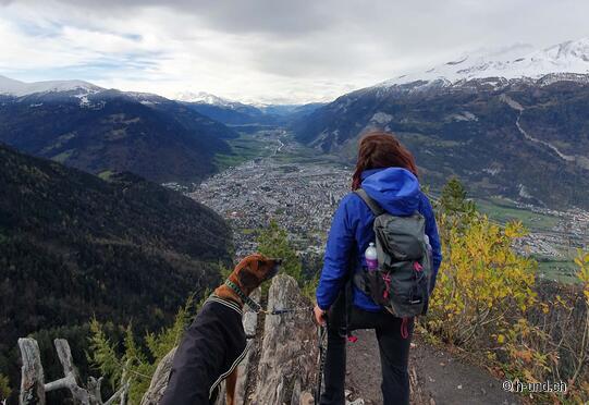 Fürstenwald Chur - Red Plate