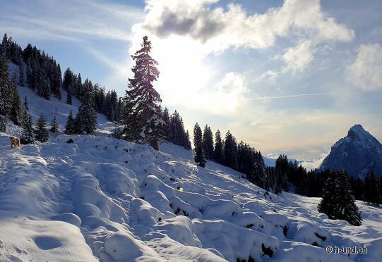 Piste de raquettes Furggelen