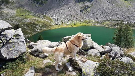 Fusio - Lago di Mognola