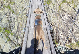 Indira su drift bridge