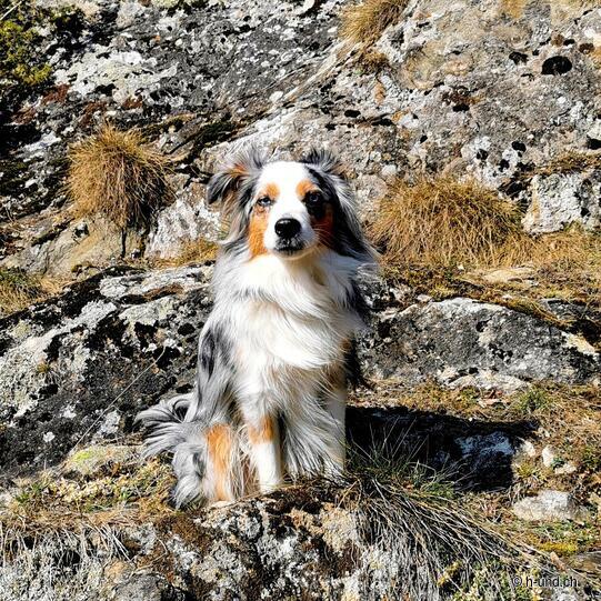 Geimen - Blatten - Geimen