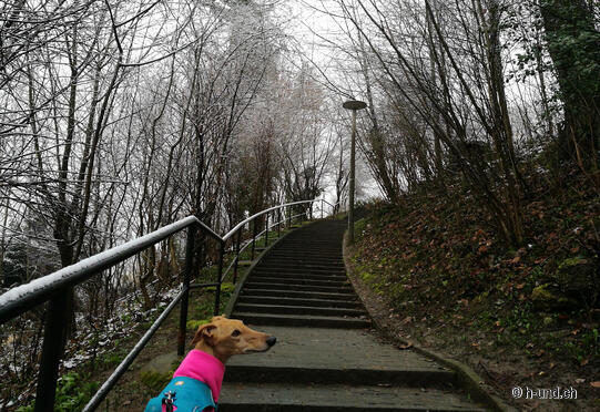 Tour di Gellert Brotherwood